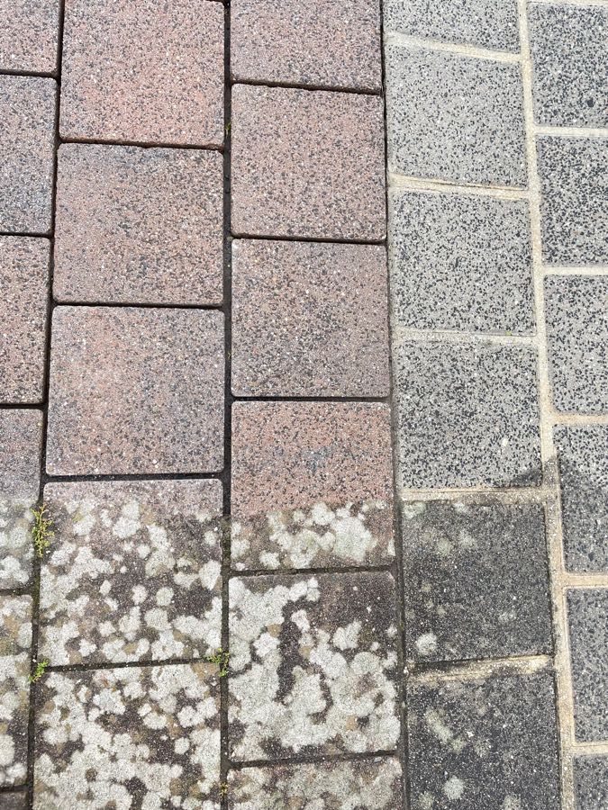 Detail eines Gehwegs: oben das gereinigte rote Pflaster, unten die von Flechten überzogene Fläche